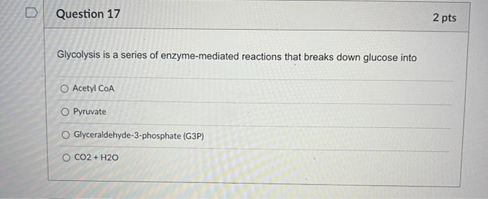 2 Pts D Question 11 Some Eukaryotic Cells Have A While All Eukaryotic Cells Have A O Plasma Membranes Cell Wall Chlorop 7