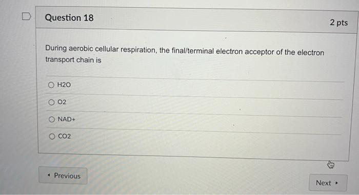 2 Pts D Question 11 Some Eukaryotic Cells Have A While All Eukaryotic Cells Have A O Plasma Membranes Cell Wall Chlorop 8