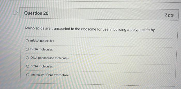 2 Pts D Question 11 Some Eukaryotic Cells Have A While All Eukaryotic Cells Have A O Plasma Membranes Cell Wall Chlorop 10