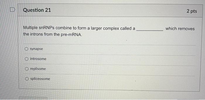 D Question 21 2 Pts Which Removes Multiple Snrnps Combine To Form A Larger Complex Called A The Introns From The Pre Mrn 1