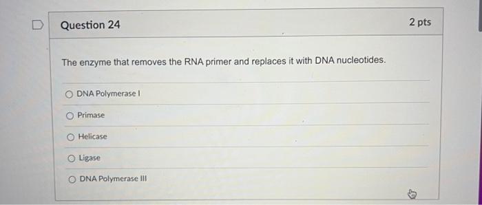 D Question 21 2 Pts Which Removes Multiple Snrnps Combine To Form A Larger Complex Called A The Introns From The Pre Mrn 4