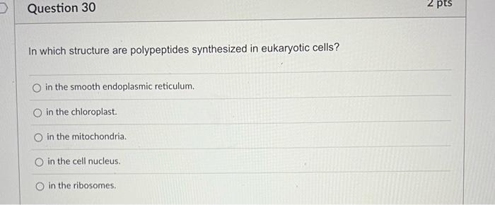 D Question 21 2 Pts Which Removes Multiple Snrnps Combine To Form A Larger Complex Called A The Introns From The Pre Mrn 10