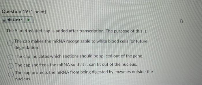 Question 19 1 Point Listen The 5 Methylated Cap Is Added After Transcription The Purpose Of This Is Con The Cap Make 1