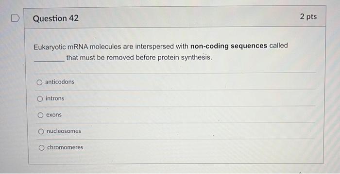 2 Pts Question 41 Which Of The Following Is Not True Of Prokaryotes They Lack A Membrane Bound Nucleus Dna Is Located W 2
