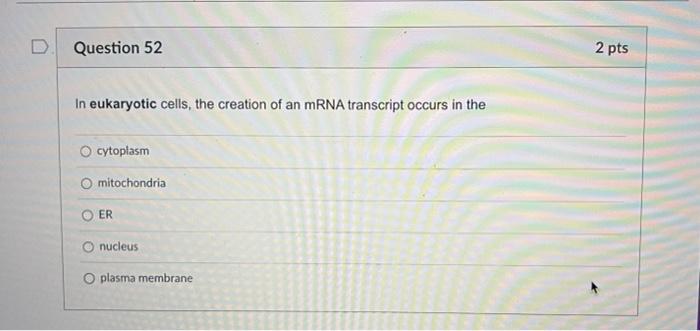 Question 51 2 Pts The Dna Double Helix Is Similar To A Twisted Ladder What Makes Up The Sides Backbones Holding The R 2