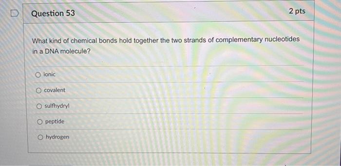 Question 51 2 Pts The Dna Double Helix Is Similar To A Twisted Ladder What Makes Up The Sides Backbones Holding The R 3
