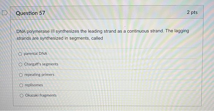 Question 51 2 Pts The Dna Double Helix Is Similar To A Twisted Ladder What Makes Up The Sides Backbones Holding The R 7