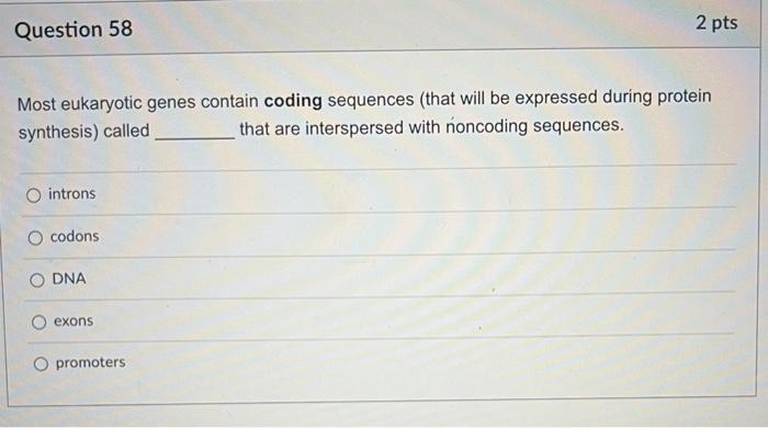 Question 51 2 Pts The Dna Double Helix Is Similar To A Twisted Ladder What Makes Up The Sides Backbones Holding The R 8