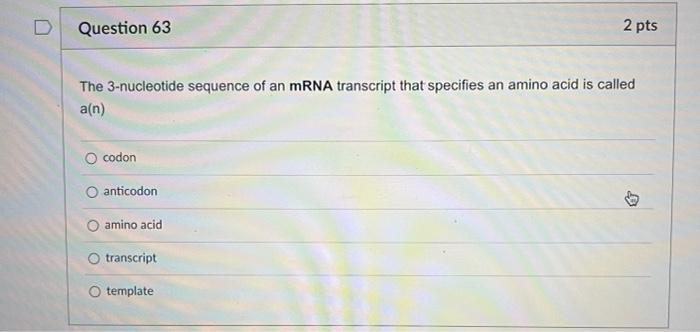 Question 51 2 Pts The Dna Double Helix Is Similar To A Twisted Ladder What Makes Up The Sides Backbones Holding The R 13