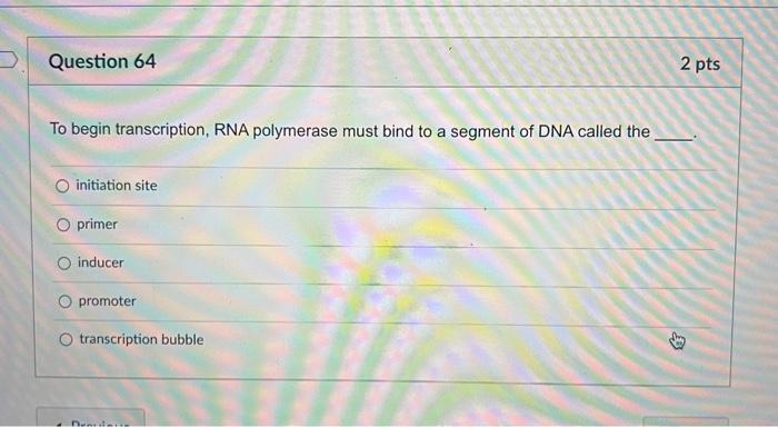 Question 51 2 Pts The Dna Double Helix Is Similar To A Twisted Ladder What Makes Up The Sides Backbones Holding The R 14