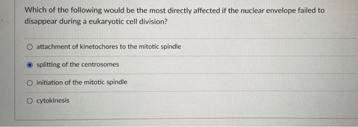 Which Of The Following Would Be The Most Directly Affected If The Nuclear Envelope Failed To Disappear During A Eukaryot 1