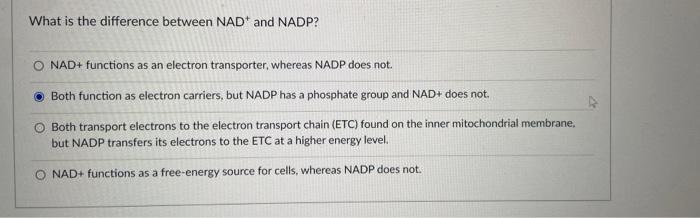 Which Of The Following Would Be The Most Directly Affected If The Nuclear Envelope Failed To Disappear During A Eukaryot 2