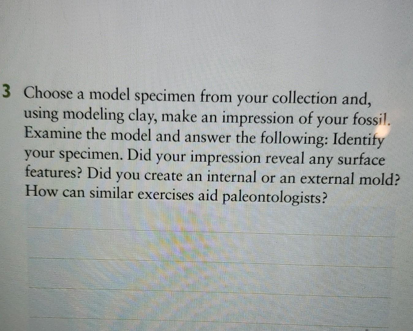 A 3 Choose A Model Specimen From Your Collection And Using Modeling Clay Make An Impression Of Your Fossil Examine Th 1