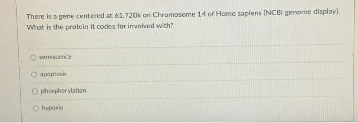 There Is A Gene Centered At 61 720k On Chromosome 14 Of Homo Sapiens Ncbi Genome Display What Is The Protein It Codes 1