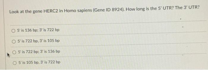 Look At The Gene Herc2 In Homo Sapiens Gene Id 8924 How Long Is The 5 Utr The 3 Utr O 5 Is 136 Bp 3 Is 722 Bp 5 1