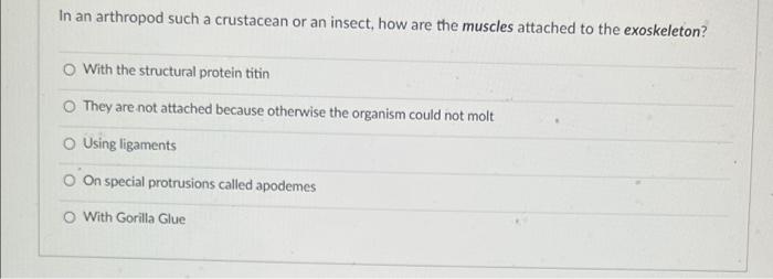In An Arthropod Such A Crustacean Or An Insect How Are The Muscles Attached To The Exoskeleton With The Structural Pro 1