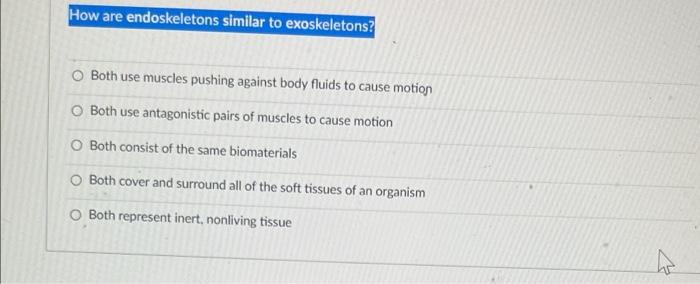In An Arthropod Such A Crustacean Or An Insect How Are The Muscles Attached To The Exoskeleton With The Structural Pro 2
