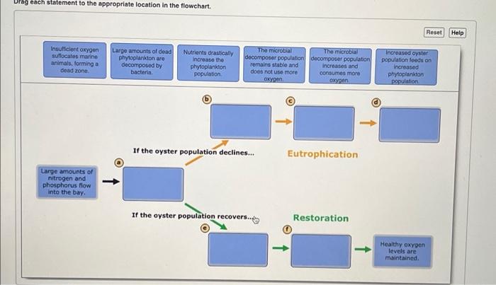 Upag Each Statement To The Appropriate Location In The Flowchart Reset Help Insufficient Oxygen Sutlocates Marine Anima 1