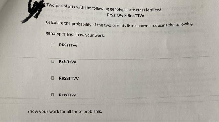 Two Pea Plants With The Following Genotypes Are Cross Fertilized Rrssttvv X Rrssttvv Calculate The Probability Of The T 1