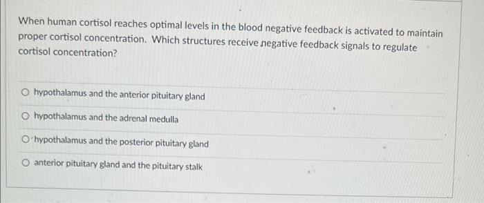 When Human Cortisol Reaches Optimal Levels In The Blood Negative Feedback Is Activated To Maintain Proper Cortisol Conce 1