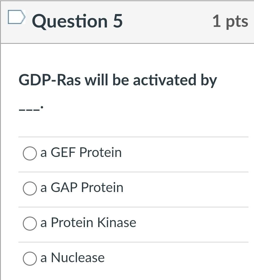 Question 5 1 Pts Gdp Ras Will Be Activated By O A Gef Protein A Gap Protein O A Protein Kinase O A Nuclease Question 5 2