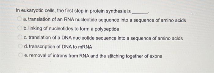 In Eukaryotic Cells The First Step In Protein Synthesis Is A Translation Of An Rna Nucleotide Sequence Into A Sequence 1