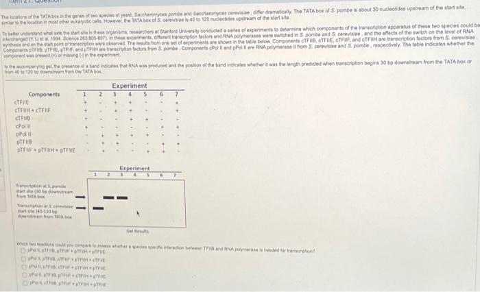 The Line Of The Tata Bor In The Pures Of Two Species Of Yeast Sacharomyces Pombe And Saccharomyces Cereafter Dramaticall 1