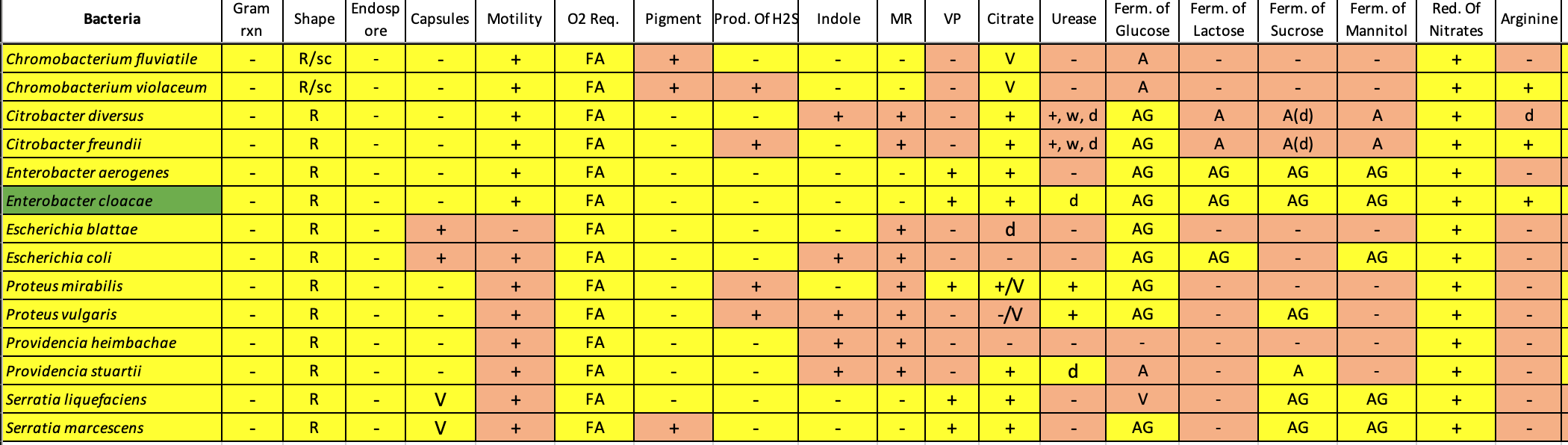 Gram Endosp Red Of Bacteria Shape Capsules Motility 02 Req Pigment Prod Of H2s Indole Mr Vp Citrate Urease Ferm Of G 1