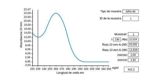 Absorbency 260 280 Ratio Pure Rna 260 230 Ratio Pure Dna Rna Concentration 1
