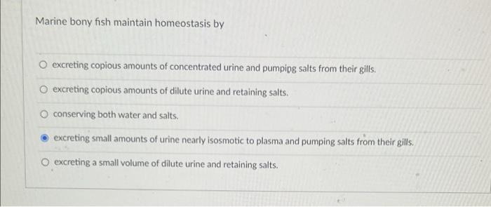 Marine Bony Fish Maintain Homeostasis By Excreting Copious Amounts Of Concentrated Urine And Pumping Salts From Their Gi 2