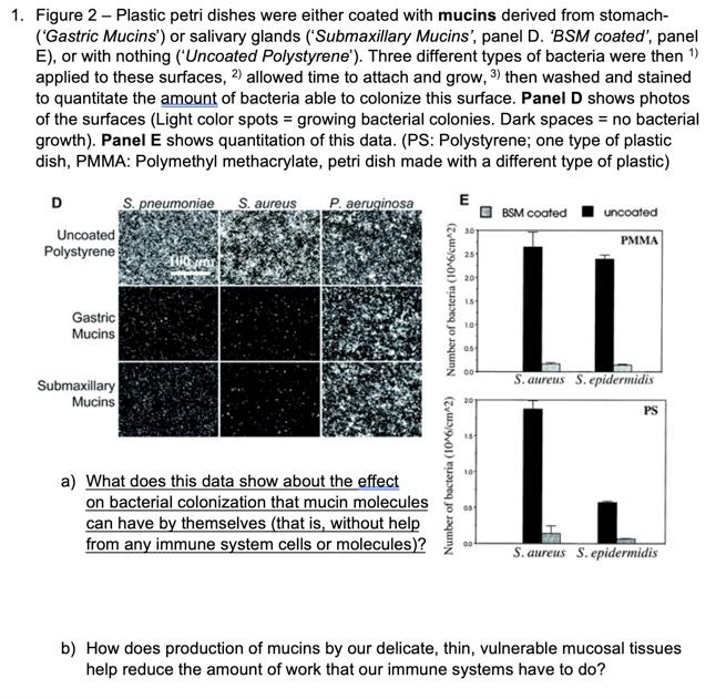 1 Figure 2 Plastic Petri Dishes Were Either Coated With Mucins Derived From Stomach Gastric Mucins Or Salivary Gl 1