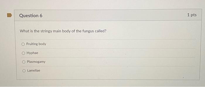 Question 6 1 Pts What Is The Stringy Main Body Of The Fungus Called Fruiting Body Hyphae Plasmogamy Lamellae Question 1