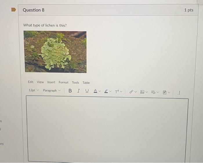 Question 6 1 Pts What Is The Stringy Main Body Of The Fungus Called Fruiting Body Hyphae Plasmogamy Lamellae Question 2