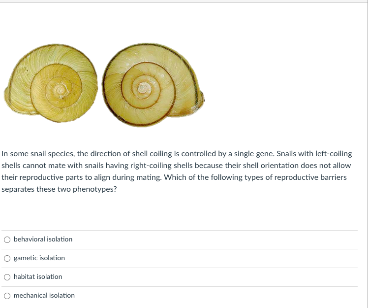 In Some Snail Species The Direction Of Shell Coiling Is Controlled By A Single Gene Snails With Left Coiling Shells Ca 1