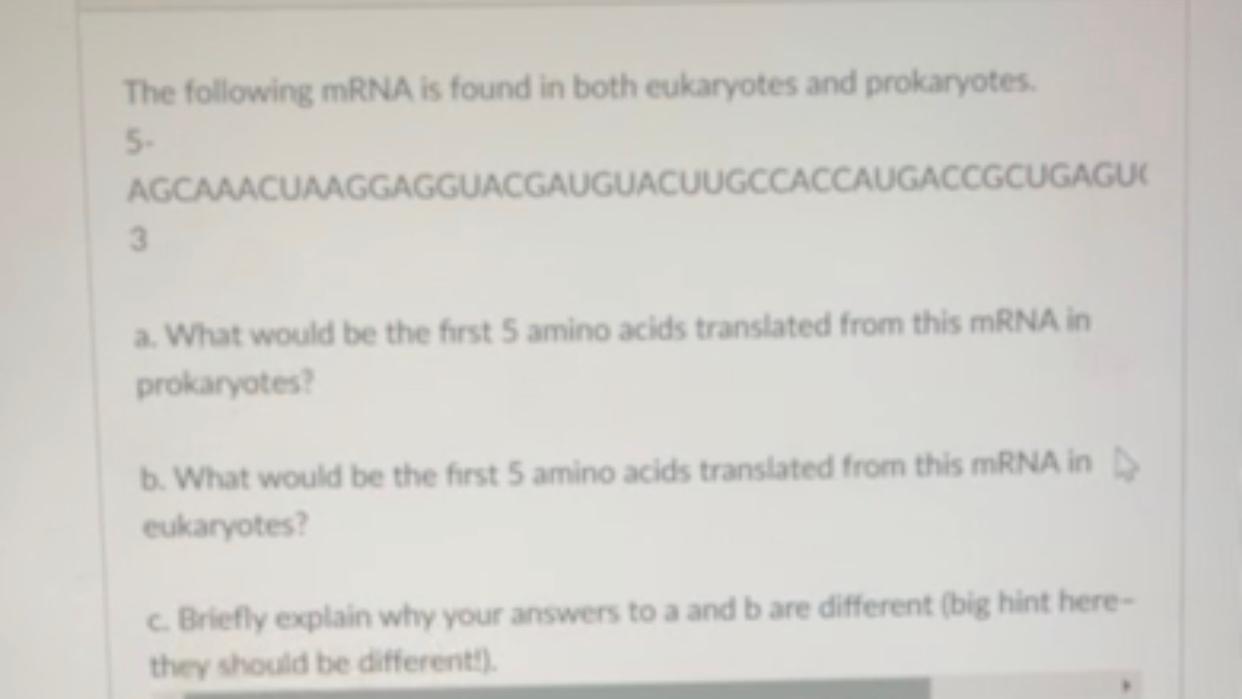 Please Answer Legibly Thanks 1