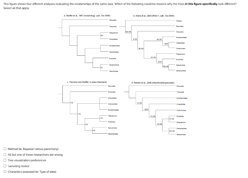 This Figure Shows Four Different Analyses Evaluating The Relationships Of The Same Taxa Which Of The Following Could Be 1