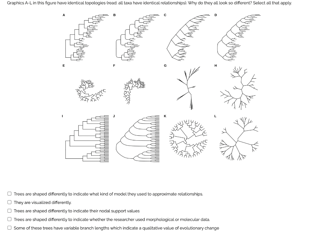 Graphics A L In This Figure Have Identical Topologies Read All Taxa Have Identical Relationships Why Do They All Loo 1