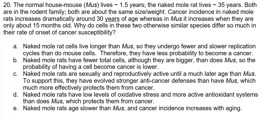 20 The Normal House Mouse Mus Lives 1 5 Years The Naked Mole Rat Lives 35 Years Both Are In The Rodent Family 1