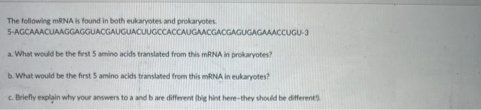 The Following Mrna Is Found In Both Eukaryotes And Prokaryotes S Agcaaacuaaggagguacgauguacuugccaccaugaacgacgagugagaaaccu 1