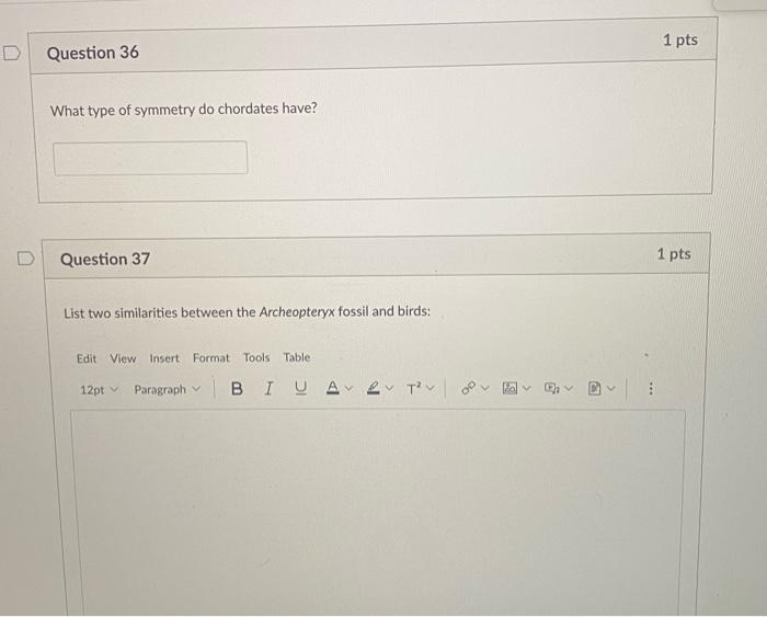 1 Pts D Question 36 What Type Of Symmetry Do Chordates Have Question 37 1 Pts List Two Similarities Between The Archeop 1