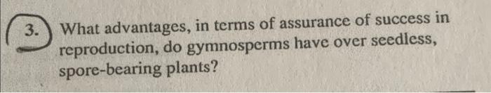 3 What Advantages In Terms Of Assurance Of Success In Reproduction Do Gymnosperms Have Over Seedless Spore Bearing P 1