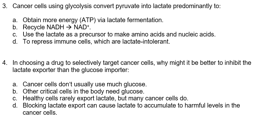 3 Cancer Cells Using Glycolysis Convert Pyruvate Into Lactate Predominantly To A Obtain More Energy Atp Via Lactate 1