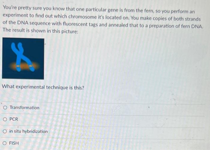 You Re Pretty Sure You Know That One Particular Gene Is From The Fern So You Perform An Experiment To Find Out Which Ch 1