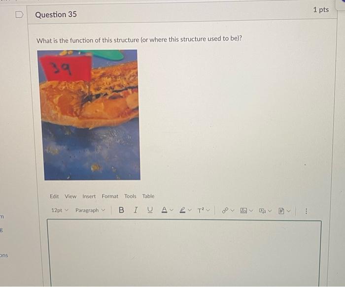 1 Pts D Question 35 What Is The Function Of This Structure Or Where This Structure Used To Be Edit View Insert Format 1