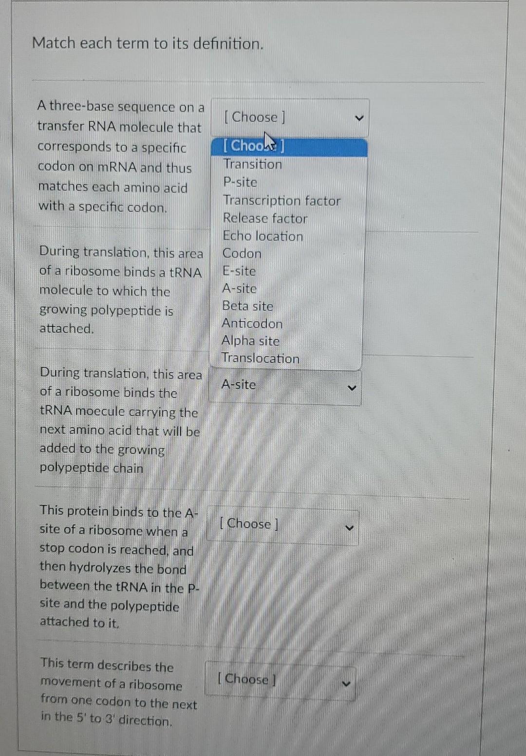 Match Each Term To Its Definition A Three Base Sequence On A Transfer Rna Molecule That Corresponds To A Specific Codon 1
