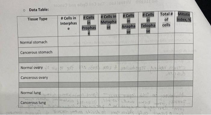 Procedure Using The Diagrams Of Corresponding Tissues Attached To This Lab 1 Fill Out The Data Table Below 2 Calculat 2