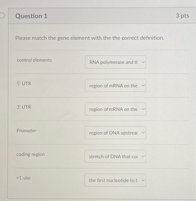 Attached Are My Answers And Then In The Second Picture Is The List Of Definitions For All Words Thank U 1