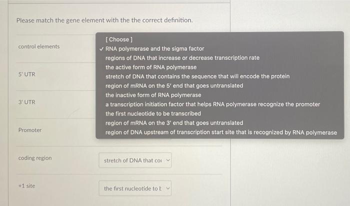 Attached Are My Answers And Then In The Second Picture Is The List Of Definitions For All Words Thank U 2