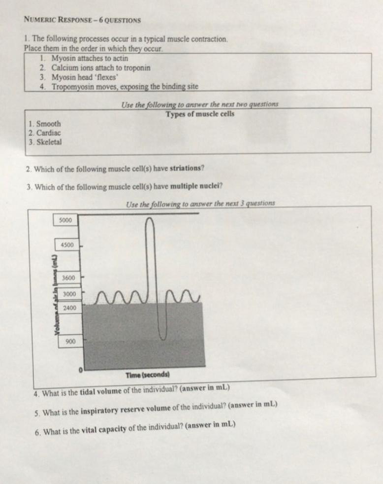 Numeric Response 6 Questions 1 The Following Processes Occur In A Typical Muscle Contraction Place Them In The Order 1