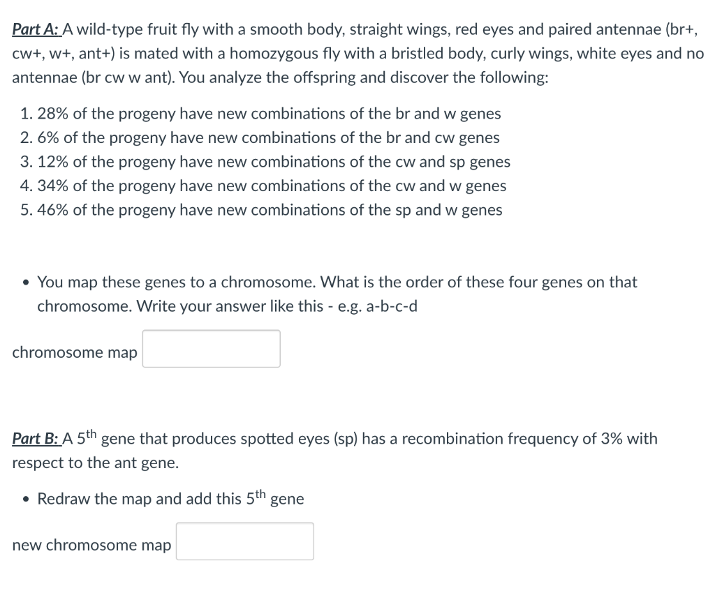 Part A A Wild Type Fruit Fly With A Smooth Body Straight Wings Red Eyes And Paired Antennae Br Cw W Ant Is M 1